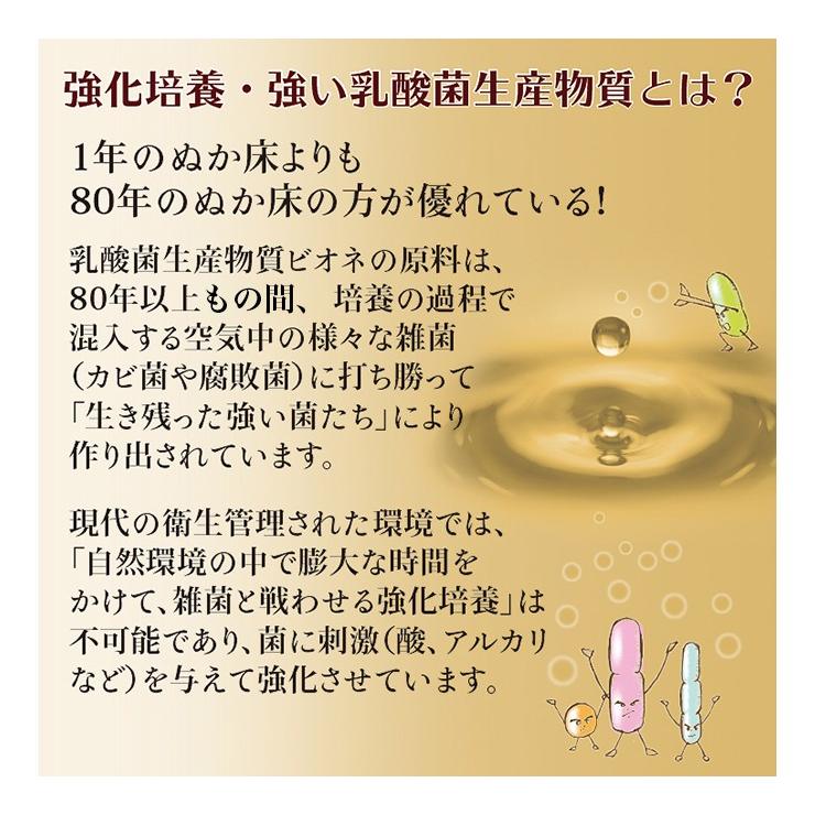 乳酸菌生産物質 ビオネBタイプ 500ml : 名古屋自然食品センター - 通販