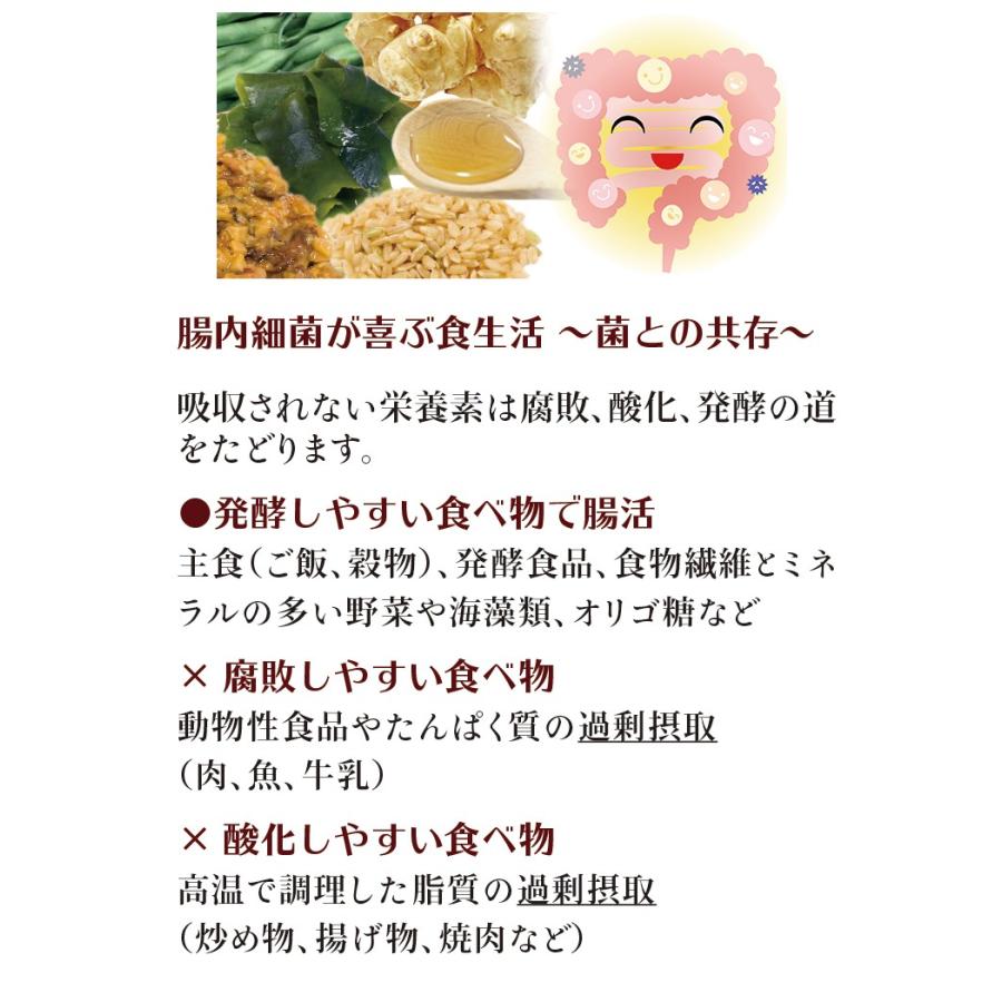乳酸菌生産物質 ビオネBタイプ 500ml : 名古屋自然食品センター - 通販