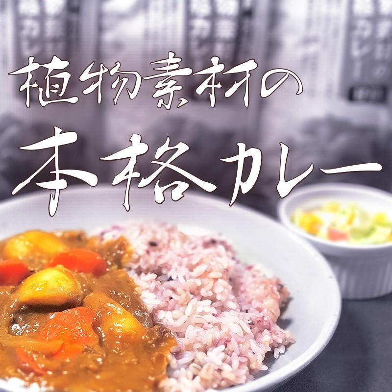 創健社 植物素材の本格カレー中辛（フレーク） / 内容量：135g×5袋