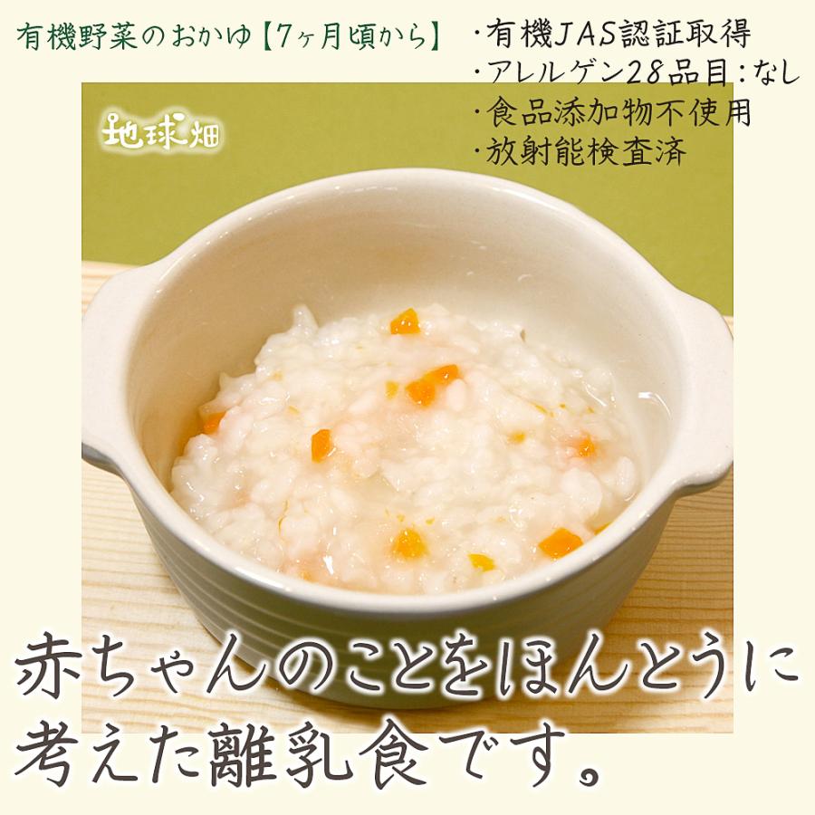 離乳食 10袋セット 通販 離乳食 ベビーフード まとめ売り 12袋 9ヶ月頃から