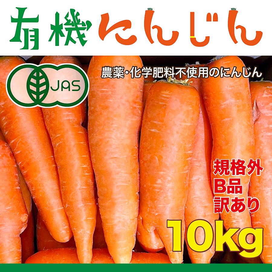 有機JAS人参 訳あり 10kg 無農薬 無化学肥料 有機栽培にんじんB品 【送料無料】人参ジュースに｜nagoya-shizen