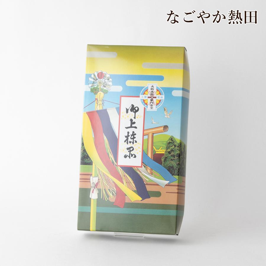 上棟セット 5点 紙製 上品 100センチ 伝統的 上棟飾り 上棟式 上棟祭