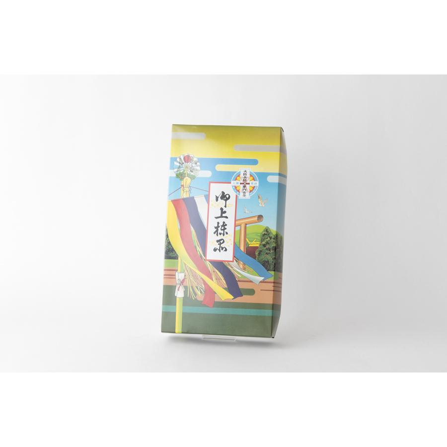 上棟セット 5点 紙製 上品 100センチ 伝統的 上棟飾り 上棟式 上棟祭