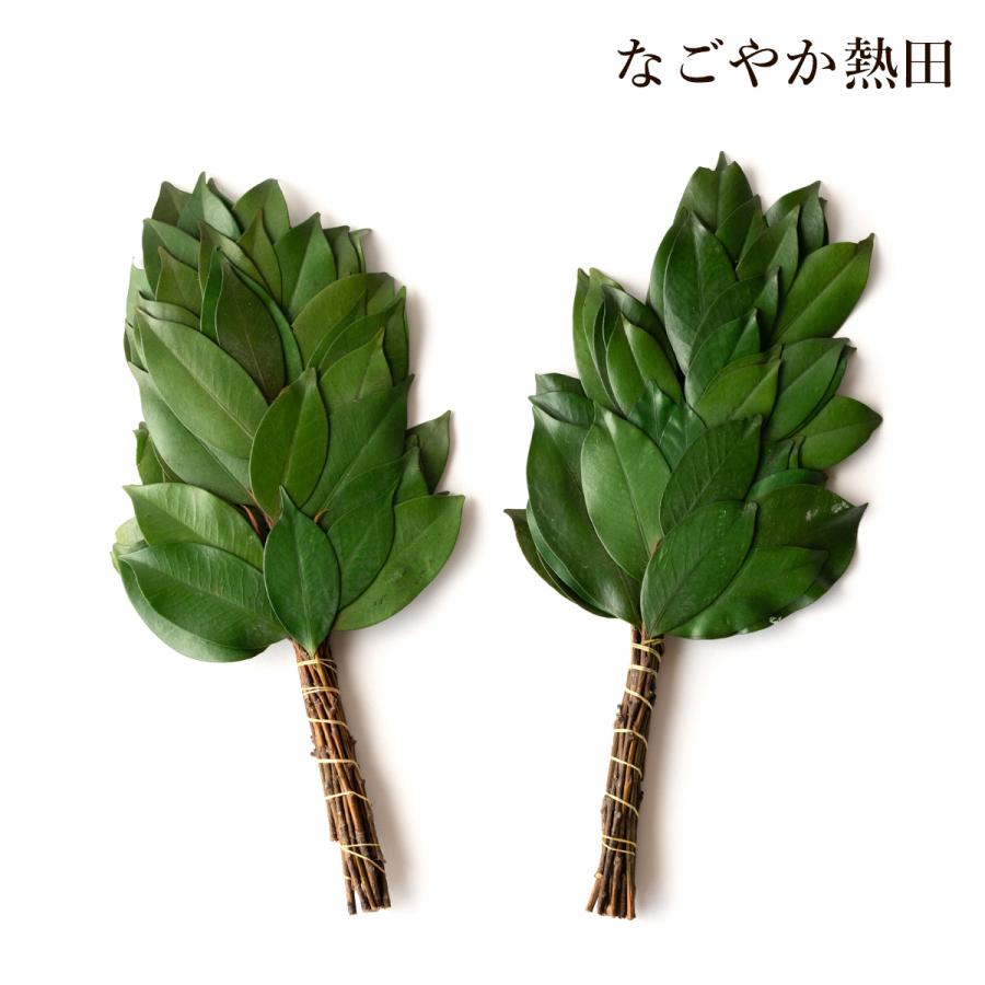 プリザーブド榊 一対 本榊 天然 生 本物を加工 豪華 33センチ 本格的 お榊 枯れない プリザーブドフラワー 本物 お供え さかき 国産 ...
