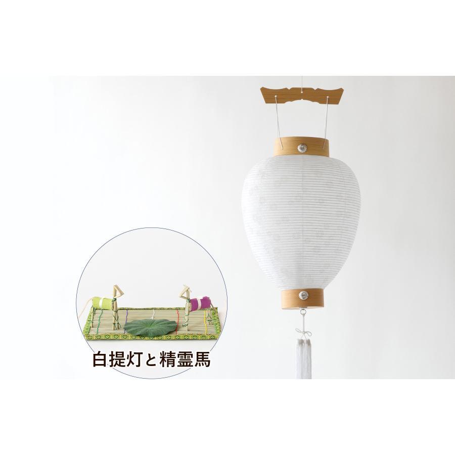 初盆セット 白提灯 精霊馬 まこも セット 上品 40センチ 伝統的