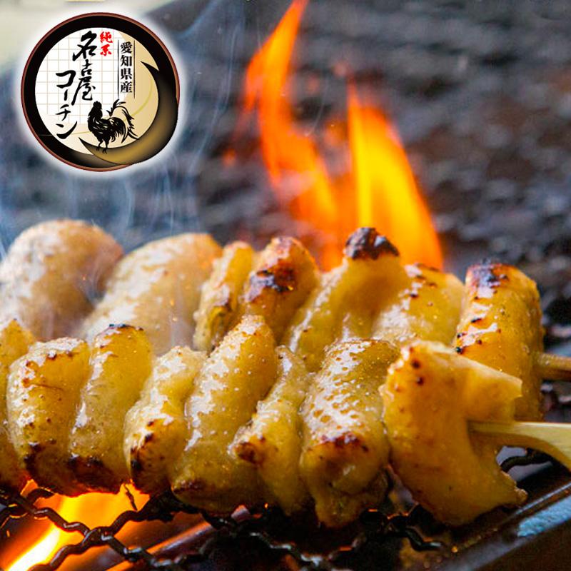 純系 名古屋コーチン 鶏皮串 5本 冷凍 焼き鳥 たれ 塩 国産 高級 地鶏 鶏肉 BBQ バーベキュー おつまみ やきとり 皮串 ギフト お取り寄せグルメ 業務用 大容量 | 純系名古屋コーチン工房