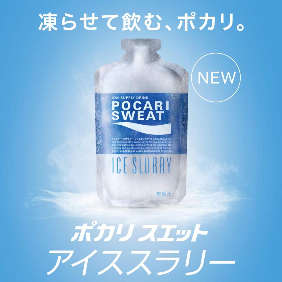 大塚製薬 ポカリスエット アイススラリー 100g ×6袋 : 名倉商事 - 通販