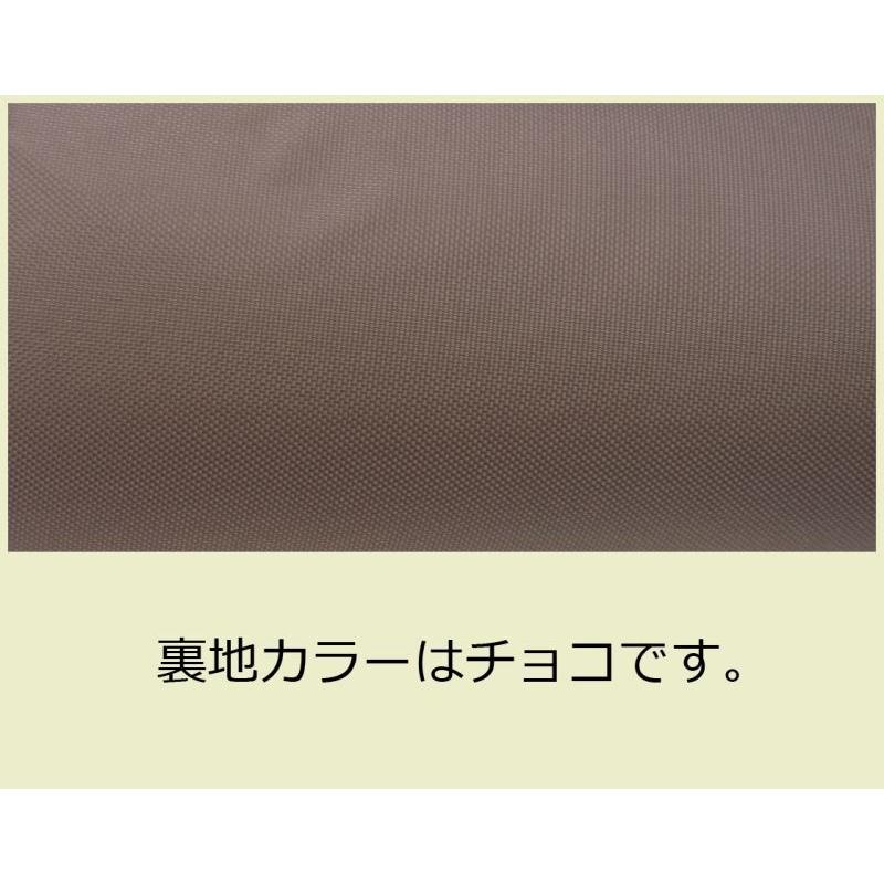 NAHOK (ナホック) H管フルートケースガード 「Amadeus/wf」ミント