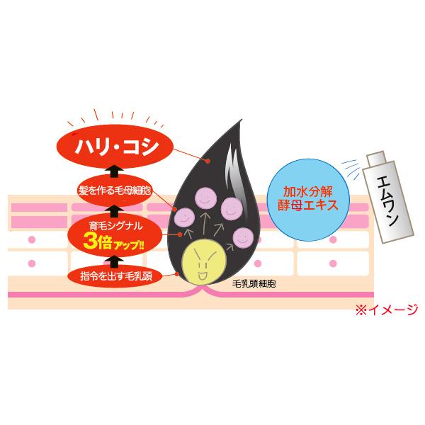 M-1 育毛ローション(医薬部外品)エムワン M1 育毛剤 120ml M-1 育毛ローション(医薬部外品)エムワン M1 育毛剤 120ml