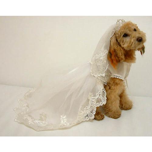 犬用 本格ウエディングドレス Mサイズ Wd M 代官山nahomilly 通販 Yahoo ショッピング