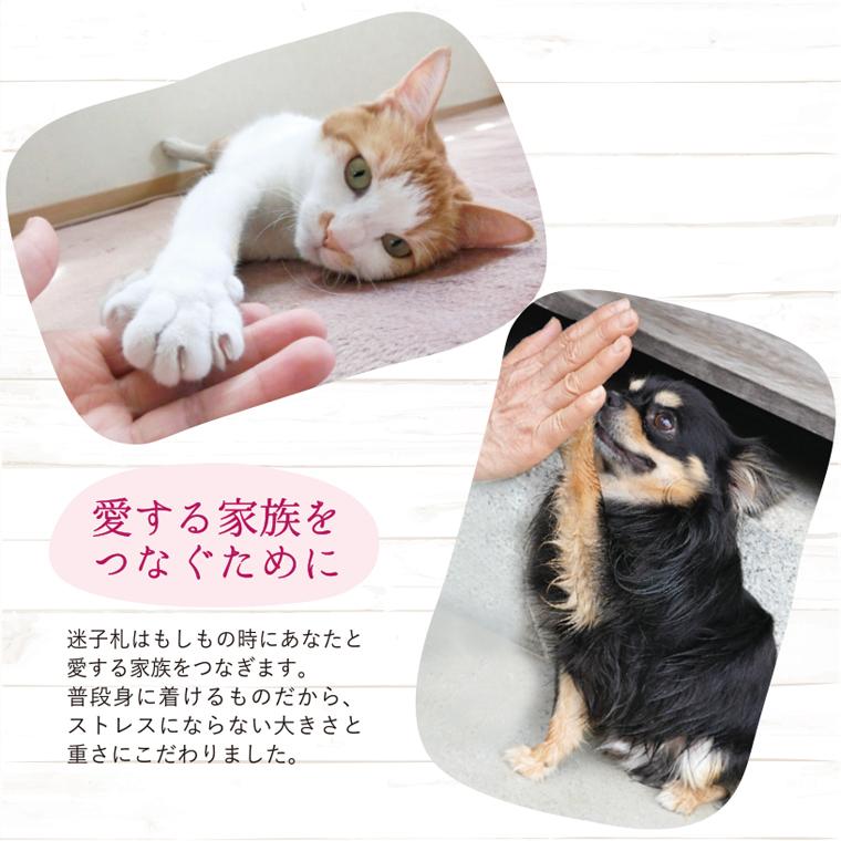 アクリル ラインストーン 迷子札 ペットタグ 犬 いぬ 猫 ねこ ペット