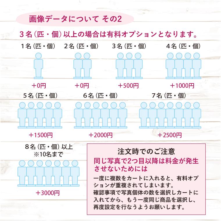 オリジナル アクリルスタンド大 18cmの範囲内 フィギュア 写真切り抜き