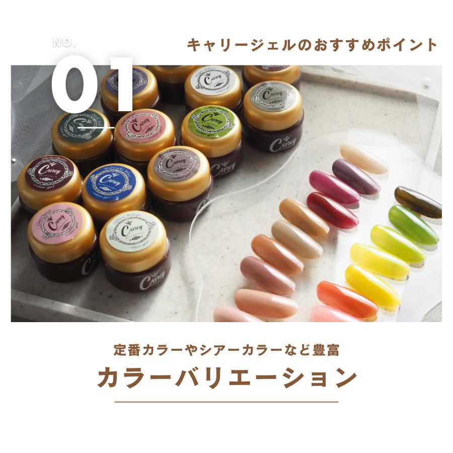 Carey ジェルネイルキット カラージェル セルフネイル ジェル Carey ジェルネイルキット カラージェル セルフネイル ジェル