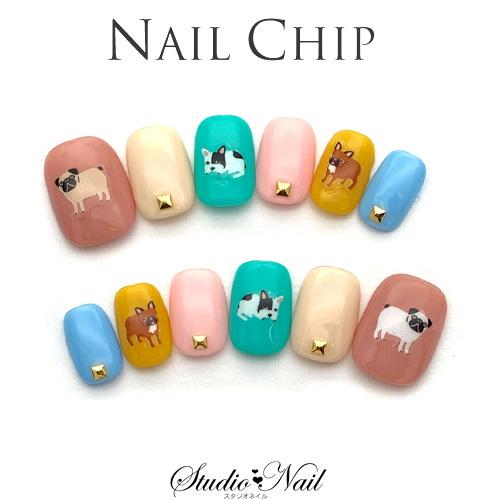 即納 メール便送料無料 ネイルチップ ショート ジェルコーティング付き パステルカラー 犬 ドッグ デザイン ネイルチップ 12枚入り ジュニア E スタジオネイル 通販 Yahoo ショッピング