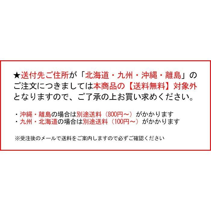 FIBERPLEX 送料無料 シュワルツコフ FIBREPLEX ファイバープレックス