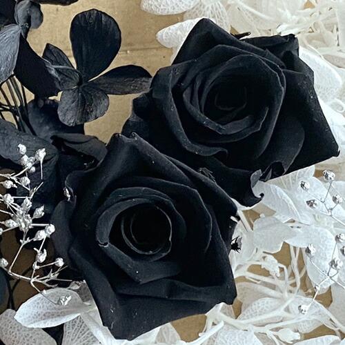 wccf優良白・黒 バラ売り 蔵王(ZAOH) Vittorio カークリーナー ZC-705-15 | メーカー一覧,蔵王