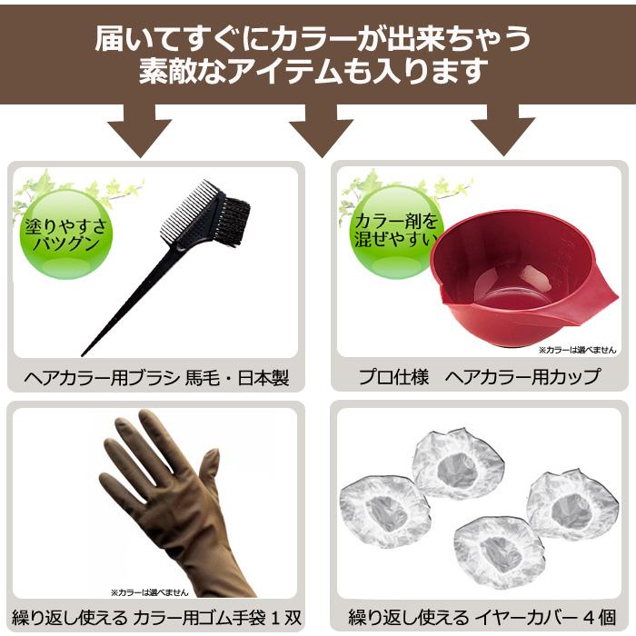 スタジオネイル オリジナル ヘアカラー用スターターセット オキシ剤