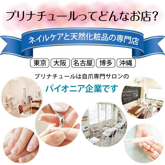 アンティセプト特大サイズ Lcn 正規品 爪専用美容液 爪保護 爪成長 ネイルケア Lcn公式認定サロンプリナチュール Lcnantiseptl プリナチュール ヤフーショップ 通販 Yahoo ショッピング