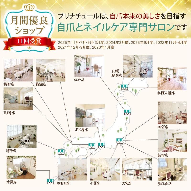 選べるマニキュアセット 8種から3本選択 自爪風 プリナチュール 3本