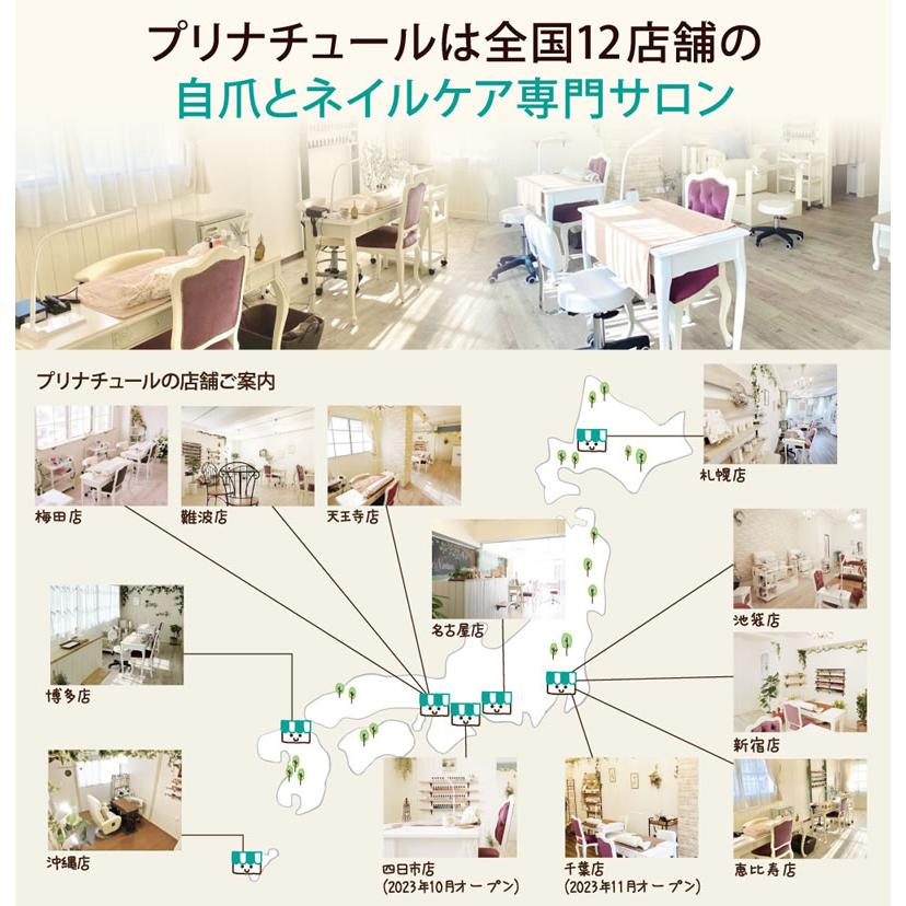 ナチュール3本セット 選べるマニキュアセット 8種から3本選択 自爪風 プリナチュール 3本