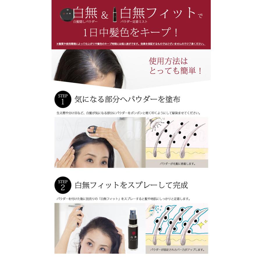 極 白無 白髪隠しパウダー 7g しろなし 在庫有 Dcts 0967 Nailcollection 通販 Yahoo ショッピング