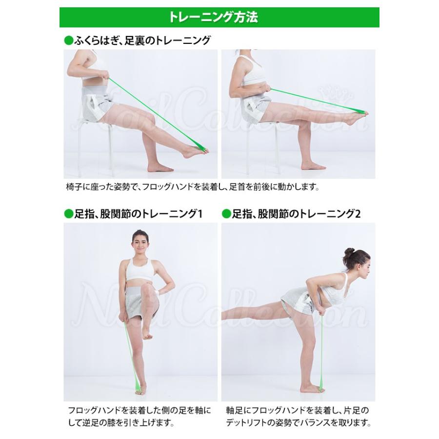 選べる豪華特典付 フロッグハンド ハード＆ソフトセット フィット
