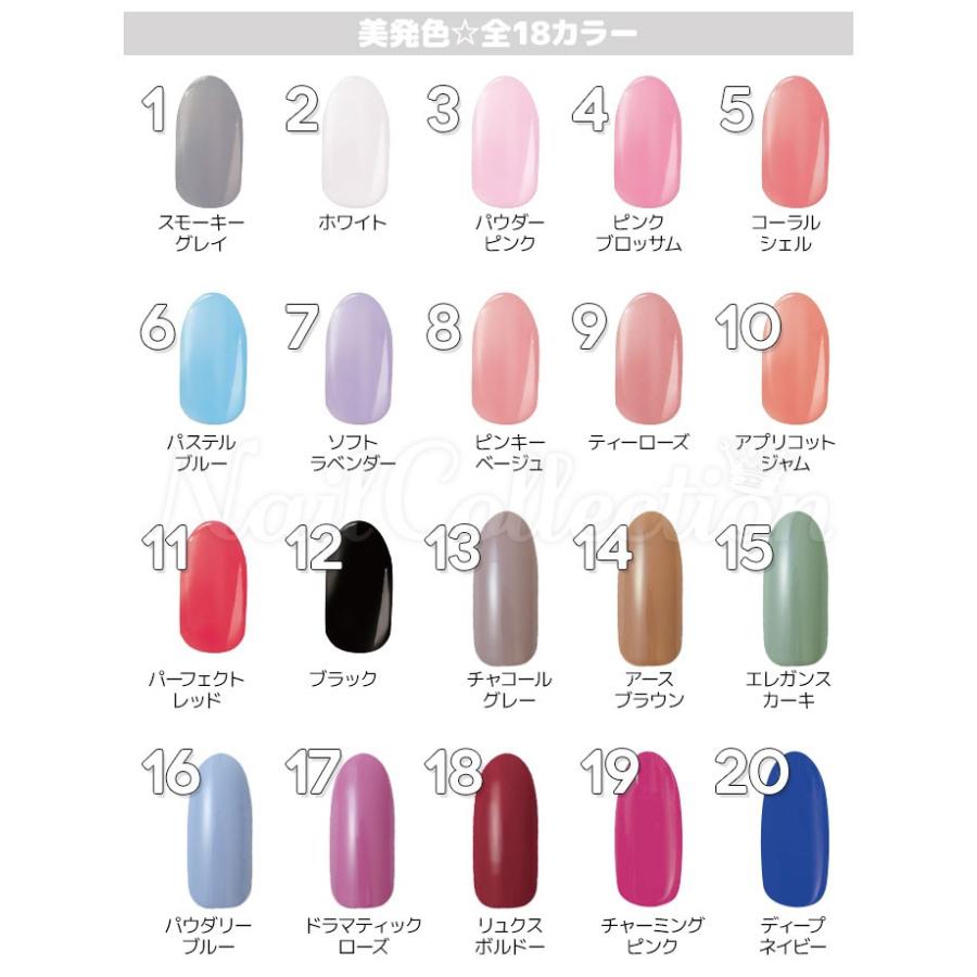 ポリジェリカ プレミアム カラージェル 6g Beauty World ビューティーワールド メール便可【DM】 海外×｜nailcol｜03