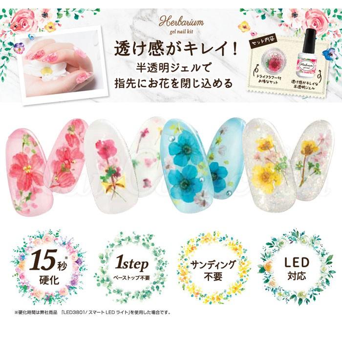 ハーバリウムジェルネイルキット ドライフラワー付 Beauty World ビューティーワールド 在庫有 N Nailcollection 通販 Yahoo ショッピング