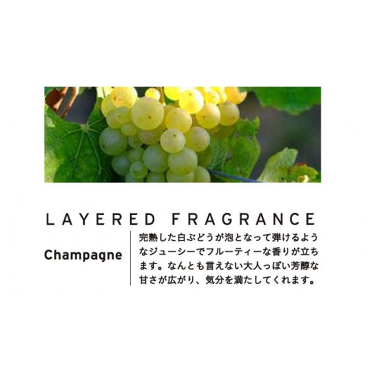 レイヤードフレグランス ディフューザー 500ml セントネーションズ LAYERED FRAGRANCE（SNT）【SIB】 海外×｜nailcol｜05