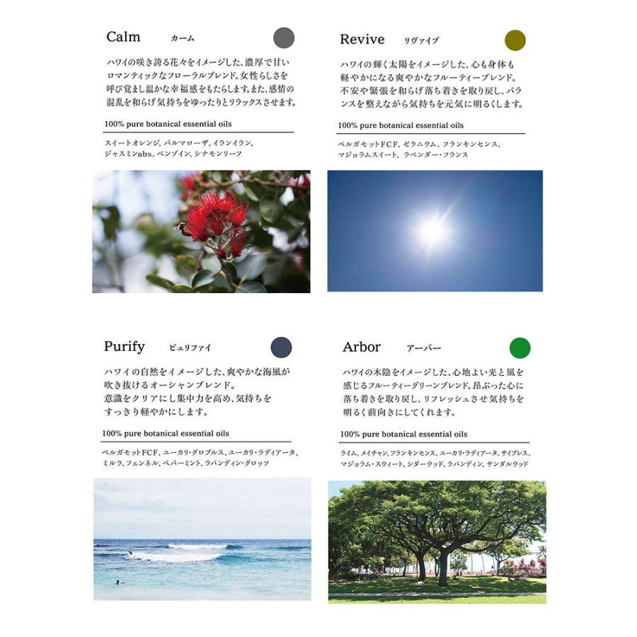 2点セット アラレフア アロマリードディフューザー＋フレグランスオイル 250mL ‘ala Lehua リフィル 詰替え用(SIB) 海外×の画像