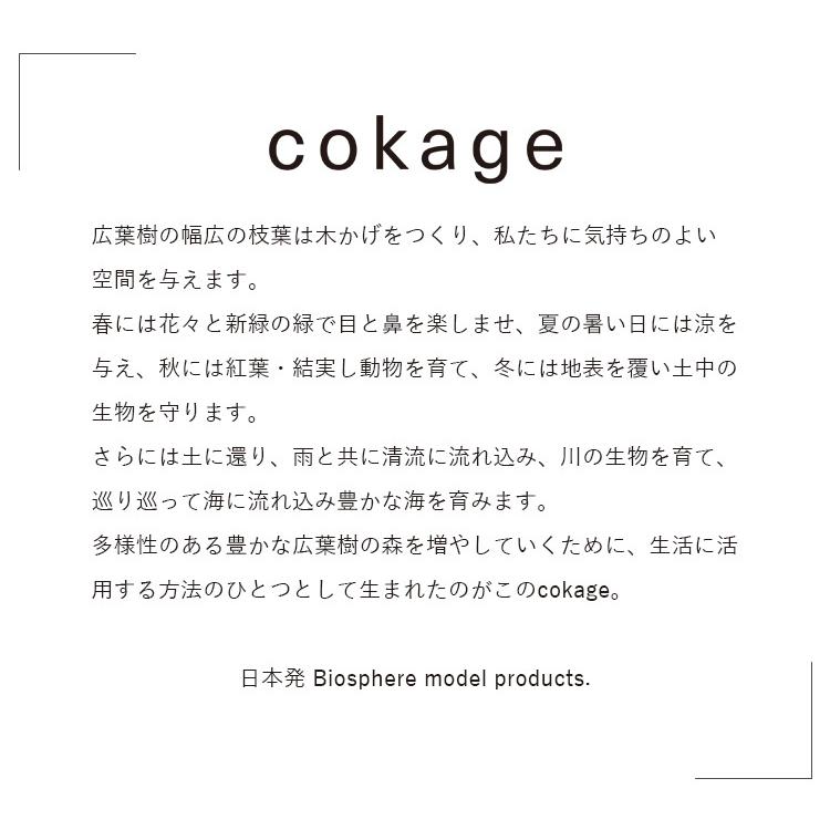 3000円OFFクーポン対象　cokage　木かげ　ナイトエステクリーム　200g　オールインワン　クリーム　odai　オオダイ（SLE）【SIB】 