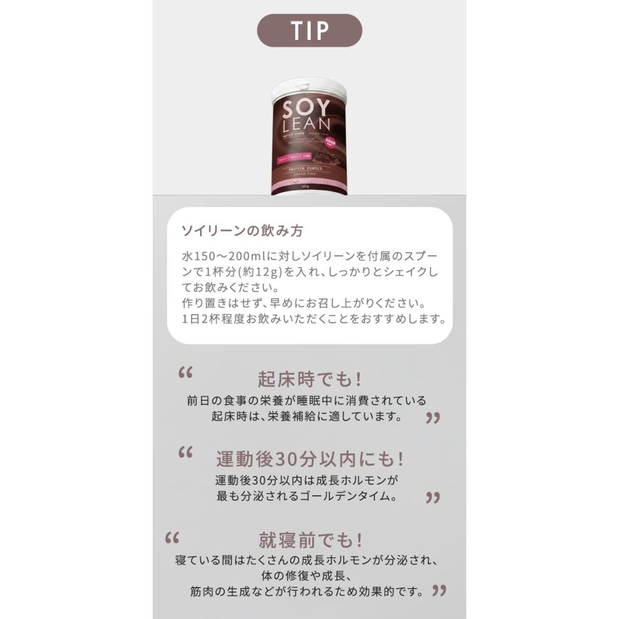 ソラーチェ ソイリーン ソイプロテイン 女性 ダイエット プロテイン ソイ 置き換え 美味しい 乳酸菌 無添加 乳糖フリー 国内製造大豆 solace 360g(SIB)海外×の画像