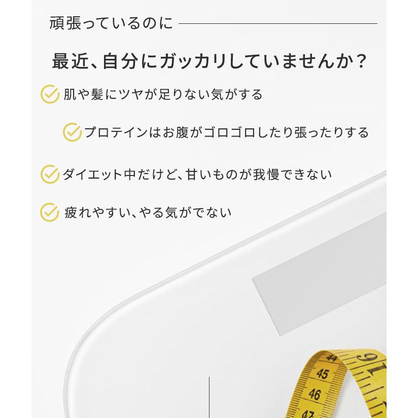 ソラーチェ ソイリーン ソイプロテイン 女性 ダイエット プロテイン ソイ 置き換え 美味しい 乳酸菌 無添加 乳糖フリー 国内製造大豆 solace 360g(SIB)海外×の画像
