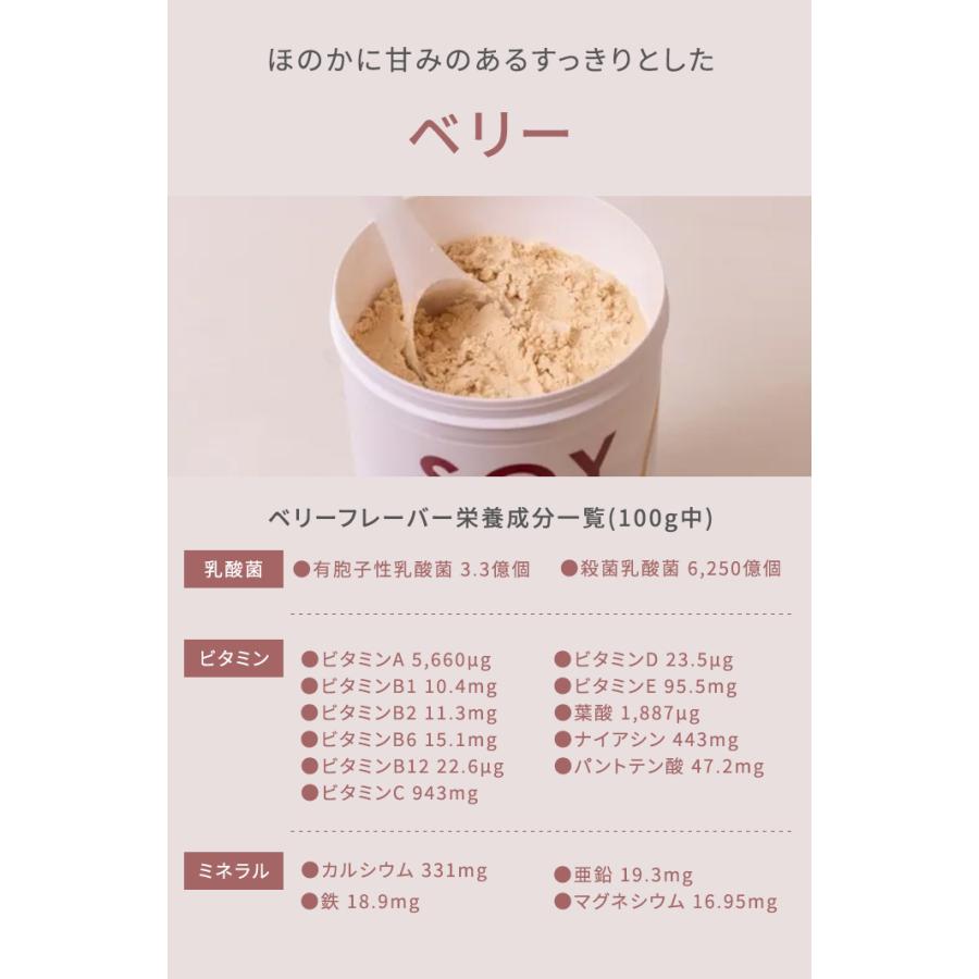 ソラーチェ ソイリーン ソイプロテイン 女性 ダイエット プロテイン ソイ 置き換え 美味しい 乳酸菌 無添加 乳糖フリー 国内製造大豆 solace 360g(SIB)海外×の画像