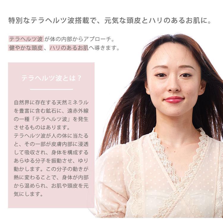 タオルおまけ付 Dr.Beau KAZE nice Dryer Premium ドライヤー 低温 大