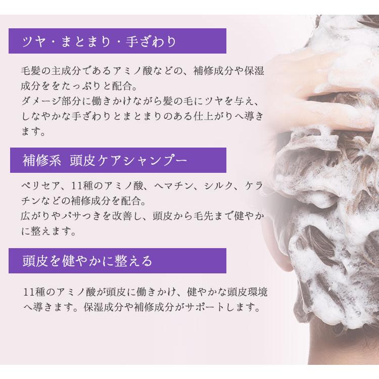 ひとときのしずく アミフレグランスシャンプー 500ml 本体 ボトル シャンプー 頭皮ケア しっとり まとまる クセ ami Fragrance （RIDA） 【SIB】 海外×｜nailcol｜04