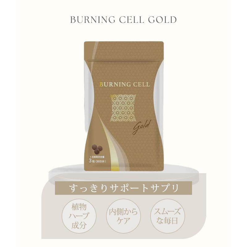 HANMI バーニングセル ゴールド 90粒入 韓美 ハンミ 美容ケア 生活