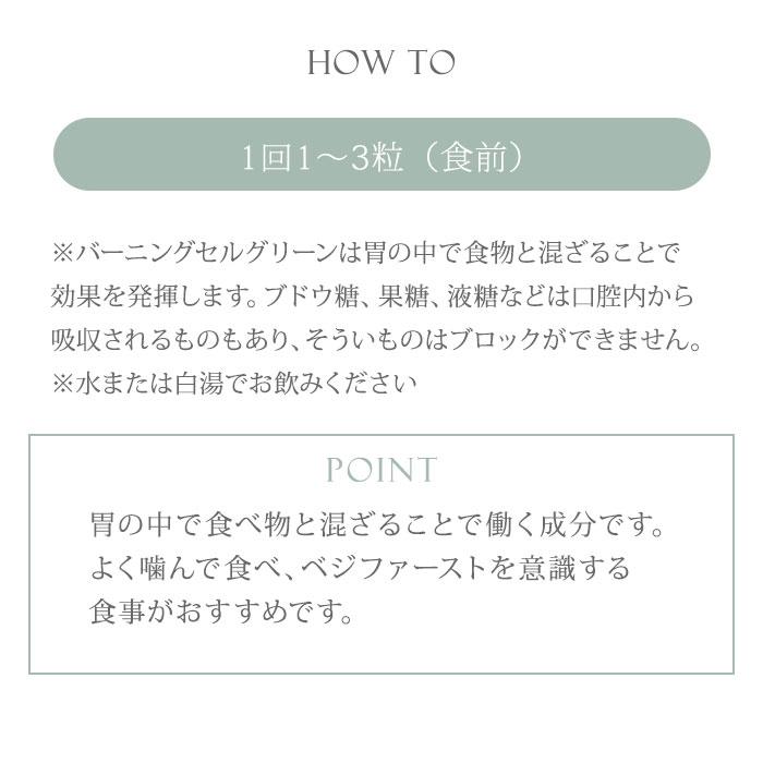HANMI バーニングセル グリーン 90粒入 ハンミ 漢方サプリ 漢方 サプリ