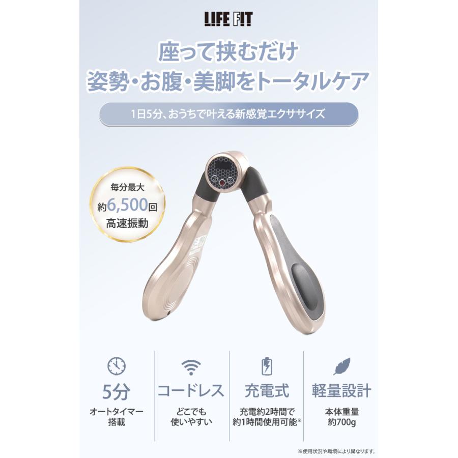 新品未使用品　ライフフィット　デュエルエクサV fit021 ライフフィット デュアルエクサV LIFEFIT Fit021 EMS 振動 骨盤底筋