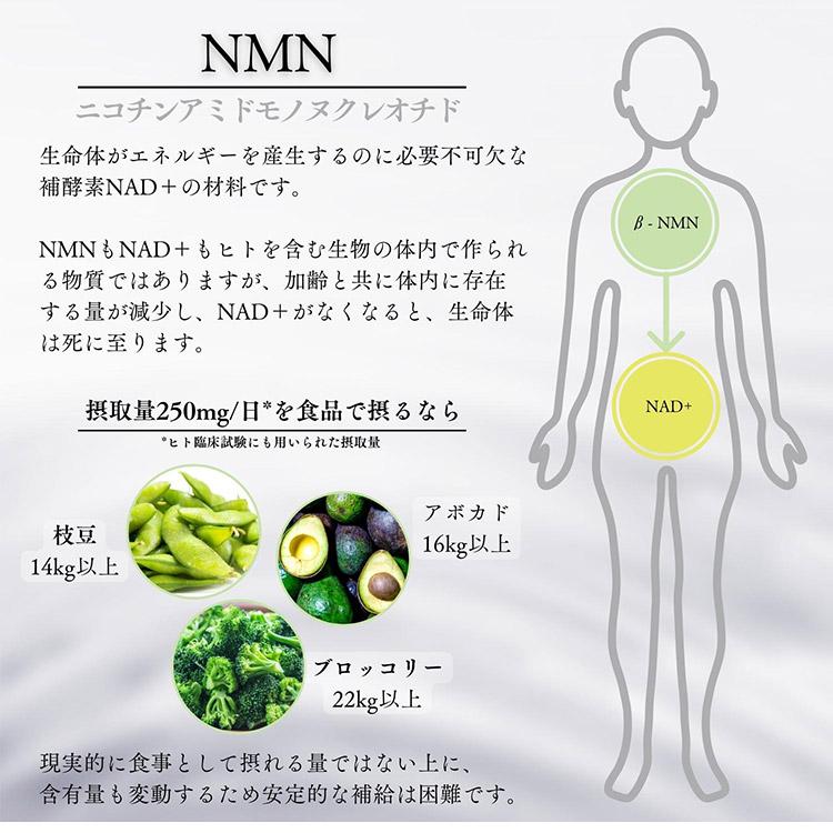 BIOAGEN PYRROVITAL PRO ピローバイタルプロ サプリメント エイジング