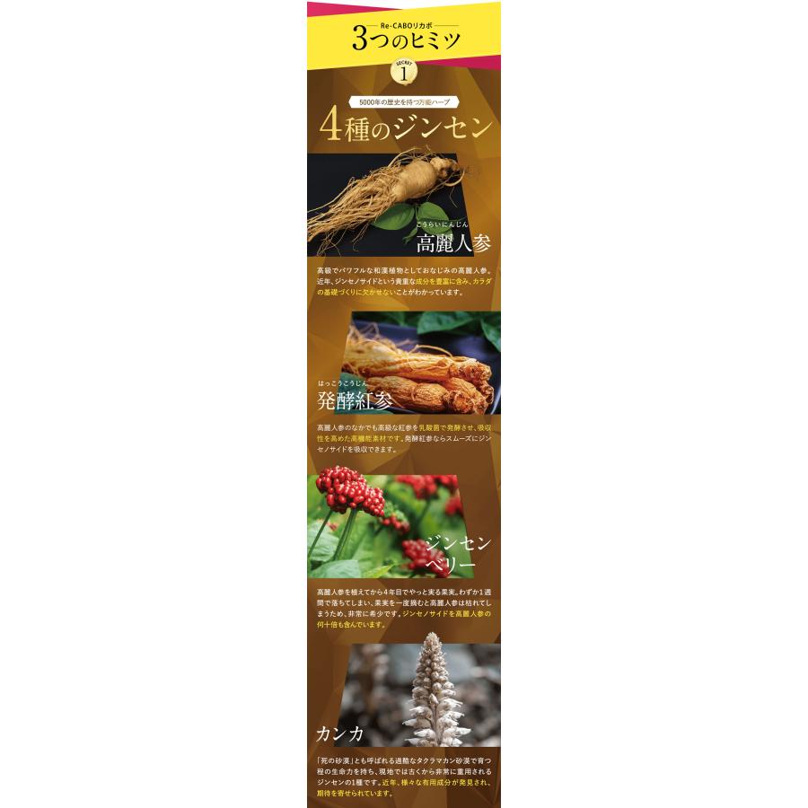 5個セット Re-CABO リカボ 30粒 サプリ サプリメント ダイエット