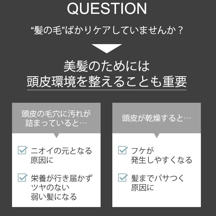 4個セット SALONIA サロニア クリアケア カートリッジ 約1年分 塩素