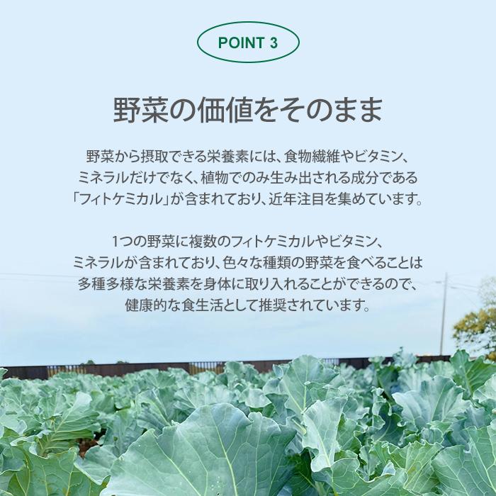飲む粉野菜 サプリ ケール 人参葉 ごぼう 90粒入 3種の野菜 農薬