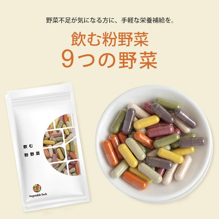 2個セット 飲む粉野菜 サプリ 9つの野菜 ケール 人参葉 ごぼう 赤紫蘇 
