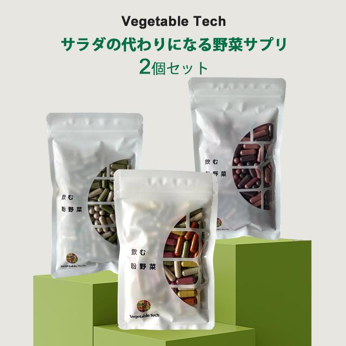 2個セット 飲む粉野菜 サプリ 9つの野菜 ケール 人参葉 ごぼう 赤紫蘇 
