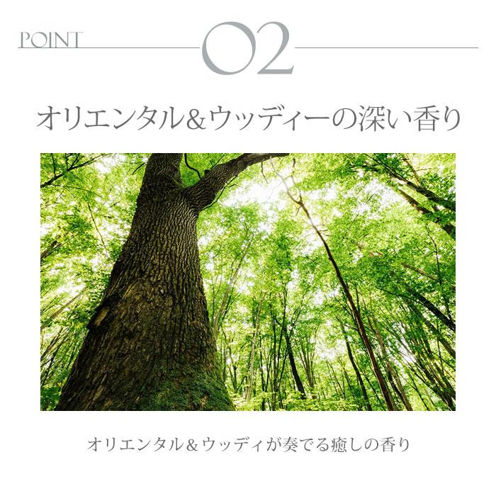 BIO HOTEL オリエンタル＆ウッディ シャンプー トリートメント 単品