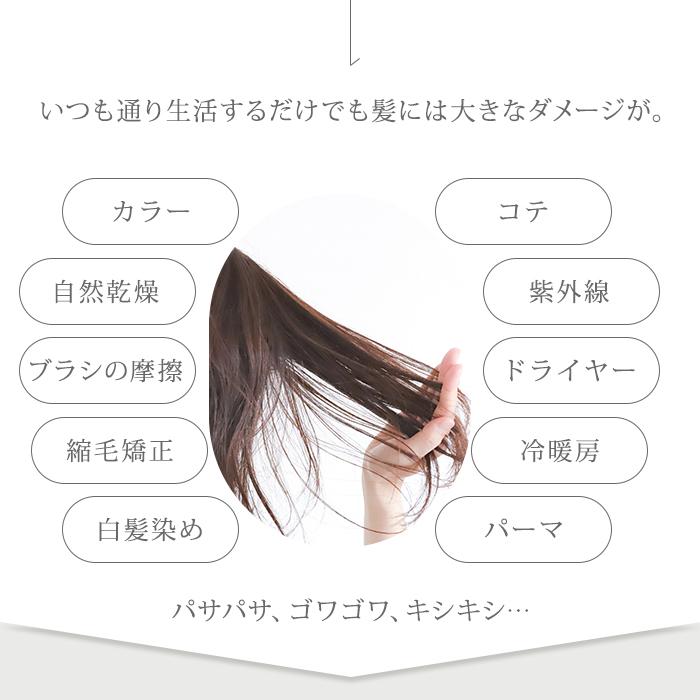 2点セット ダヴィネス オイ シャンプー+コンディショナー プロ 1000mL