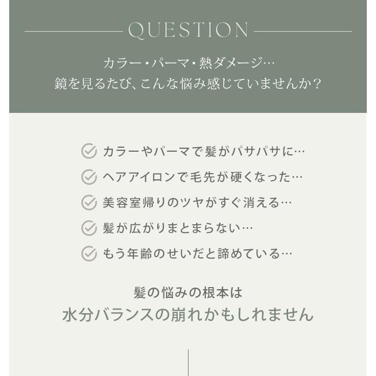 2点セット エーザイム 私の美髪 シャンプー ヘアマスク 300ml+300g