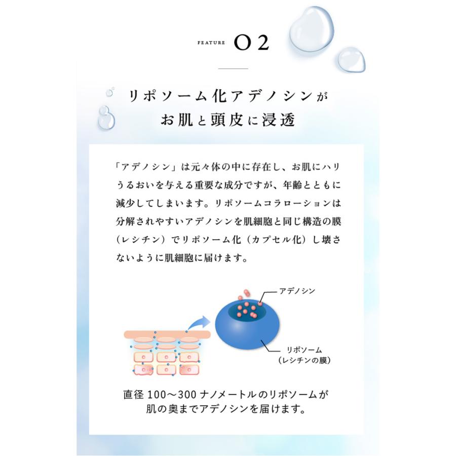 2個セット クリムヴィータ リポソームコラローション 200mL リポソーム