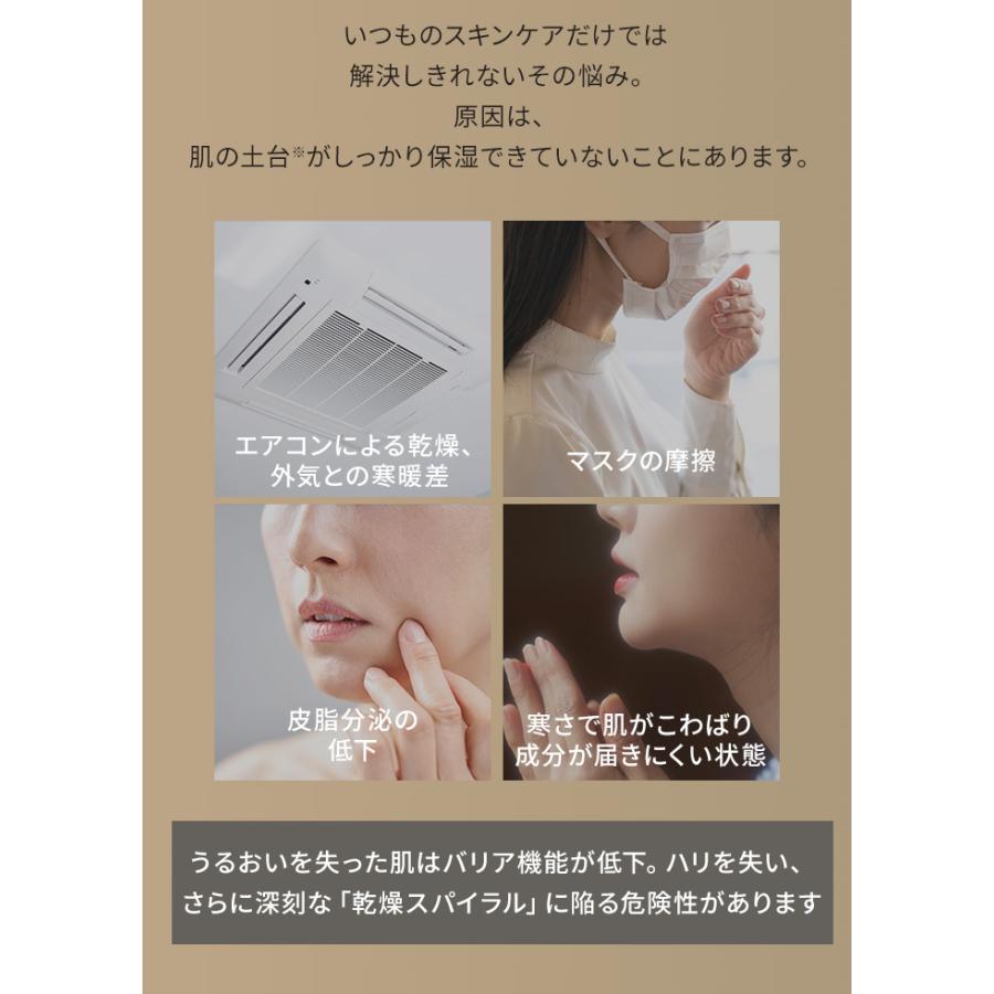 SALONIA ピュアブライトスチーマー 美顔器 サロニア スチーマー